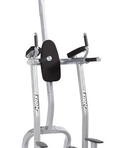 Hoist Fitness Vertical Knee Raise Tree CF-3962