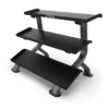 TRUE Fitness FORCE SF-1050 Dumbbell Rack